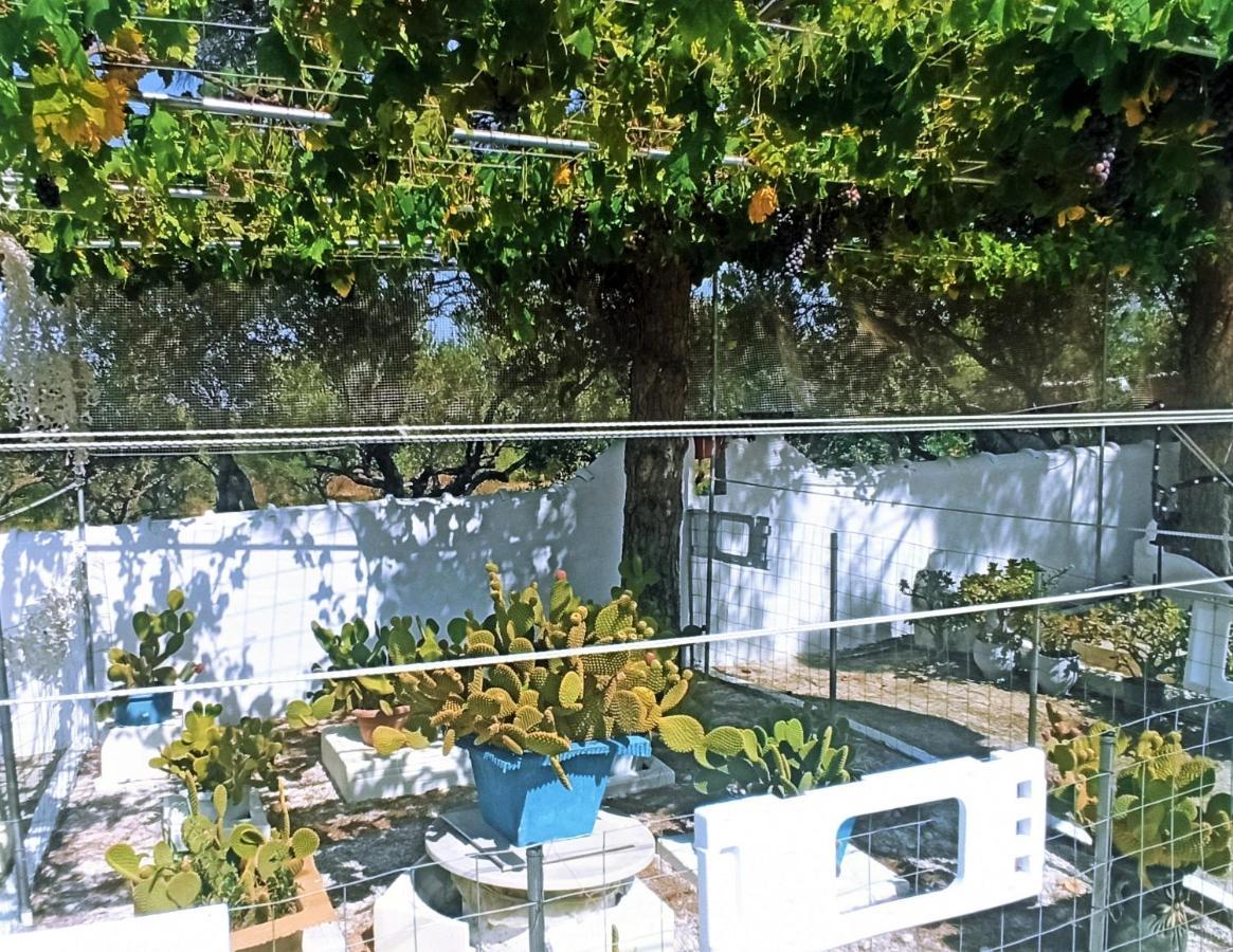 VILLA DINA  Chania  Bagian luar foto