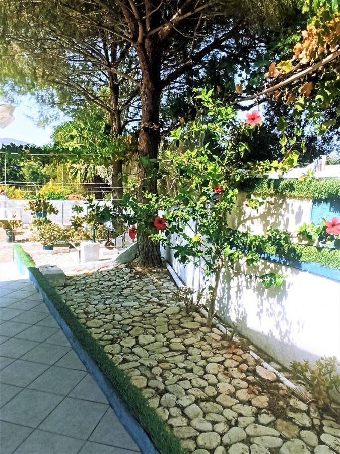 VILLA DINA  Chania  Bagian luar foto